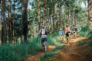 BIB: 
                            <button type="button" onclick="openModal(25754571)" class="btn btn-primary btn-sm float-right btn-popup" data-toggle="modal" data-target=".modal-high-quality">
                        <i class="fas fa-shopping-cart"></i> Add to Cart
                    </button>
                                            <button type="button" onclick="isThisMe(25754571, true)" class="btn btn-success btn-sm float-right btn-popup btn-isme hidden" data-toggle="tooltip" data-placement="bottom" title="นี่คือรูปของคุณใช่ไหม คลิกที่นี่เพื่อเอาเข้าอัลบั้ม">
                        <i class="fas fa-plus"></i> Add to album
                    </button>
                    <button type="button" onclick="isThisMe(25754571, false)" class="btn btn-warning btn-sm float-right btn-popup btn-isnotme hidden">
                        <i class="fas fa-ban"></i> Remove from album
                    </button>